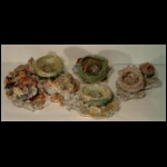 Flood's Birthsite. 16x46x30 in.jpg